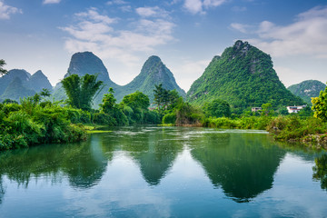 什么是生物的种和界？